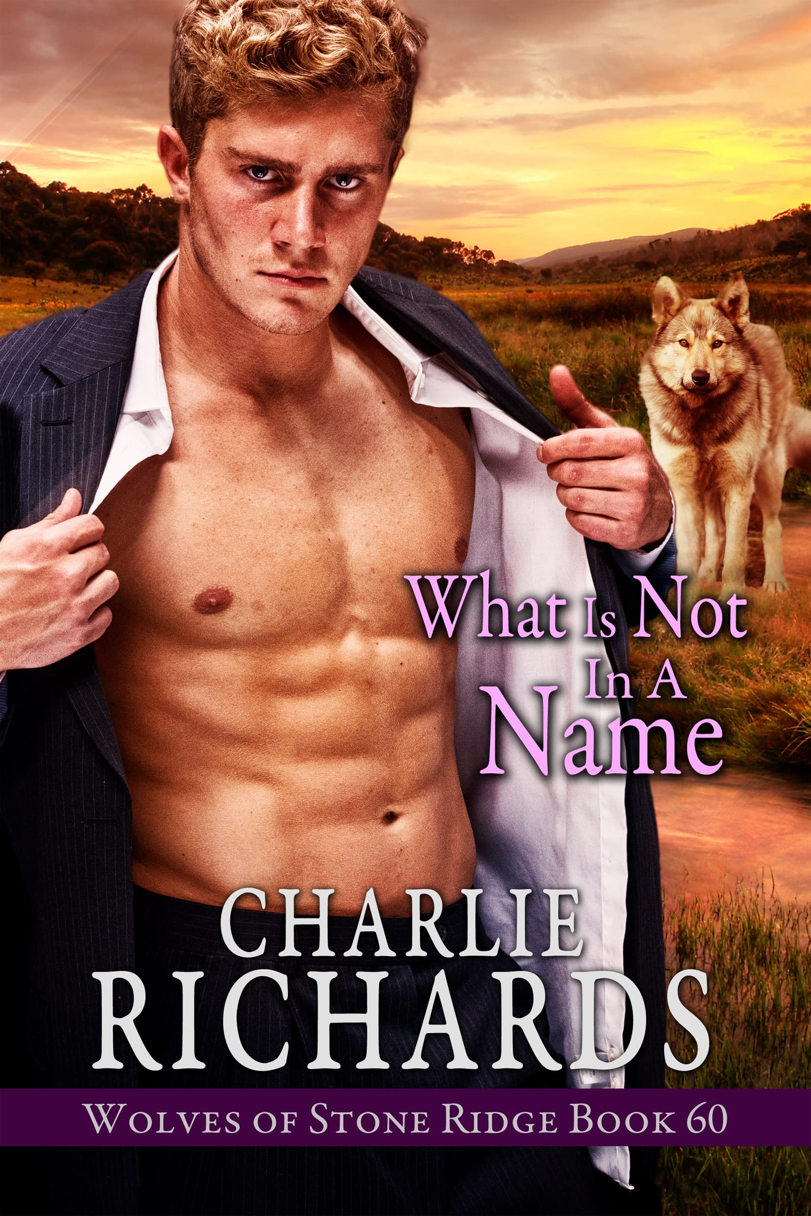 What is Not in a Name (Wolves of Stone Ridge #60)