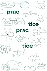 Practice Practice by Ashton Hamm