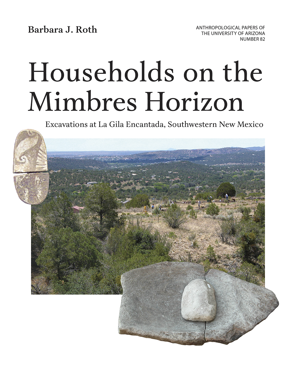 Households on the Mimbres Horizon: Excavations at La Gila Encantada, Southwestern New Mexico (Volume 82) (Anthropological Papers)