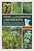 Ferns and Lycophytes of Min...