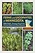 Ferns and Lycophytes of Minnesota by Welby R. Smith