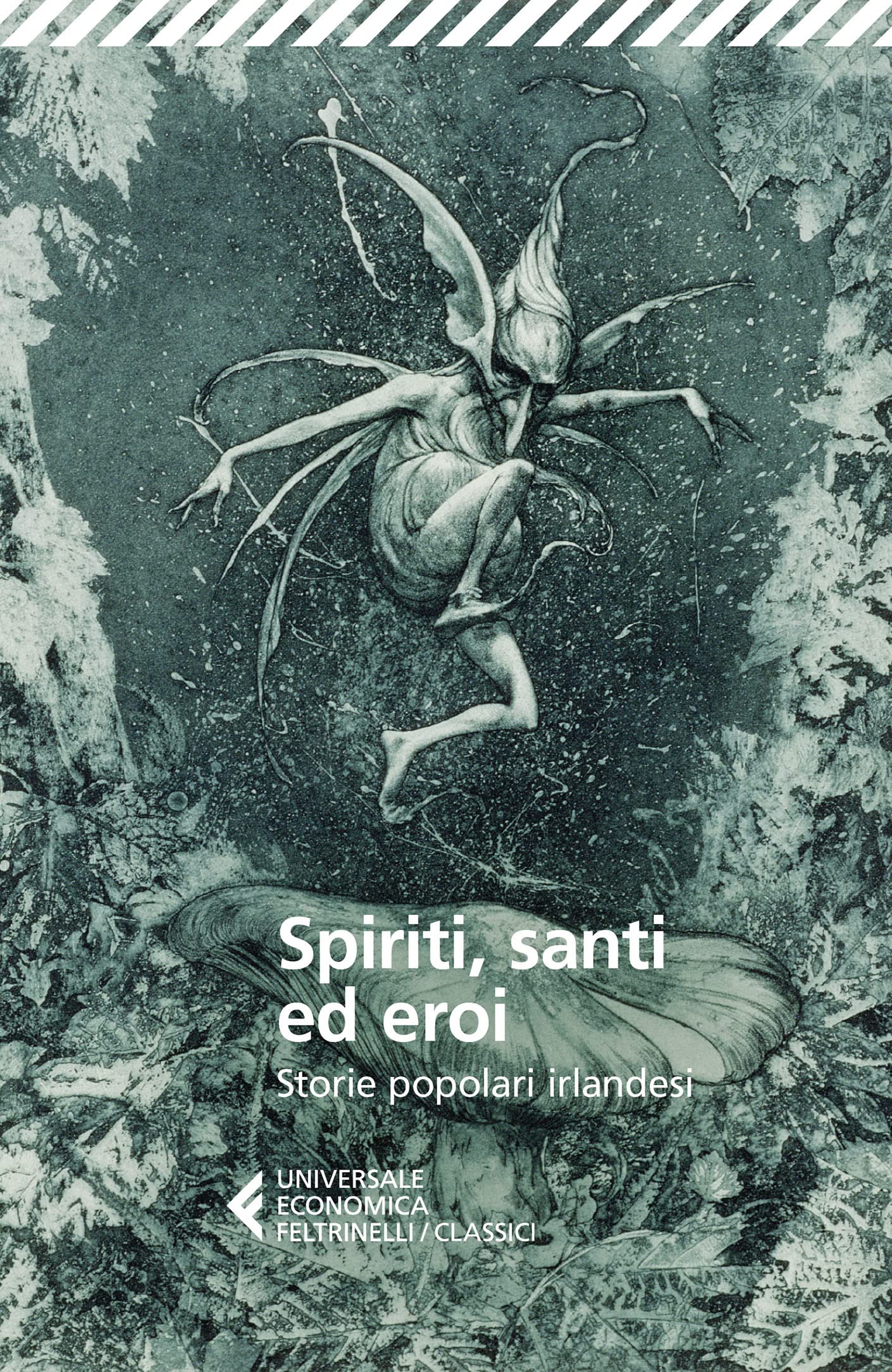 Spiriti, santi ed eroi. Storie popolari irlandesi (Kindle Edition)
