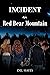Incident on Red Bear Mountain (A Gideon Ten Adventure)