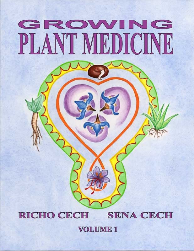 Growing Plant Medicine (Paperback)