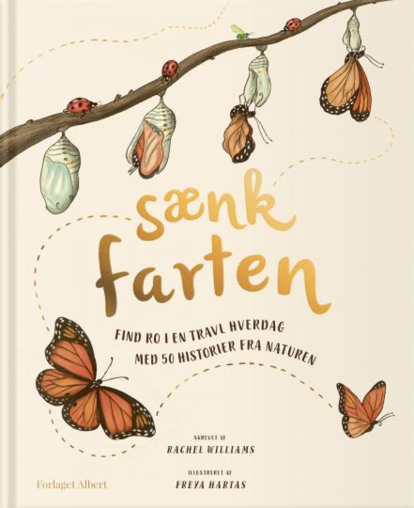 Sænk farten: Find ro i en travl hverdag med 50 historier fra naturen
