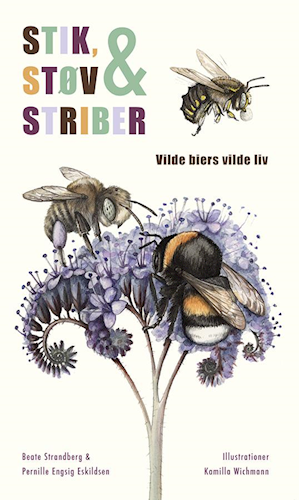 Stik, støv & striber - vilde biers vilde liv