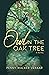 Owl in the Oak Tree