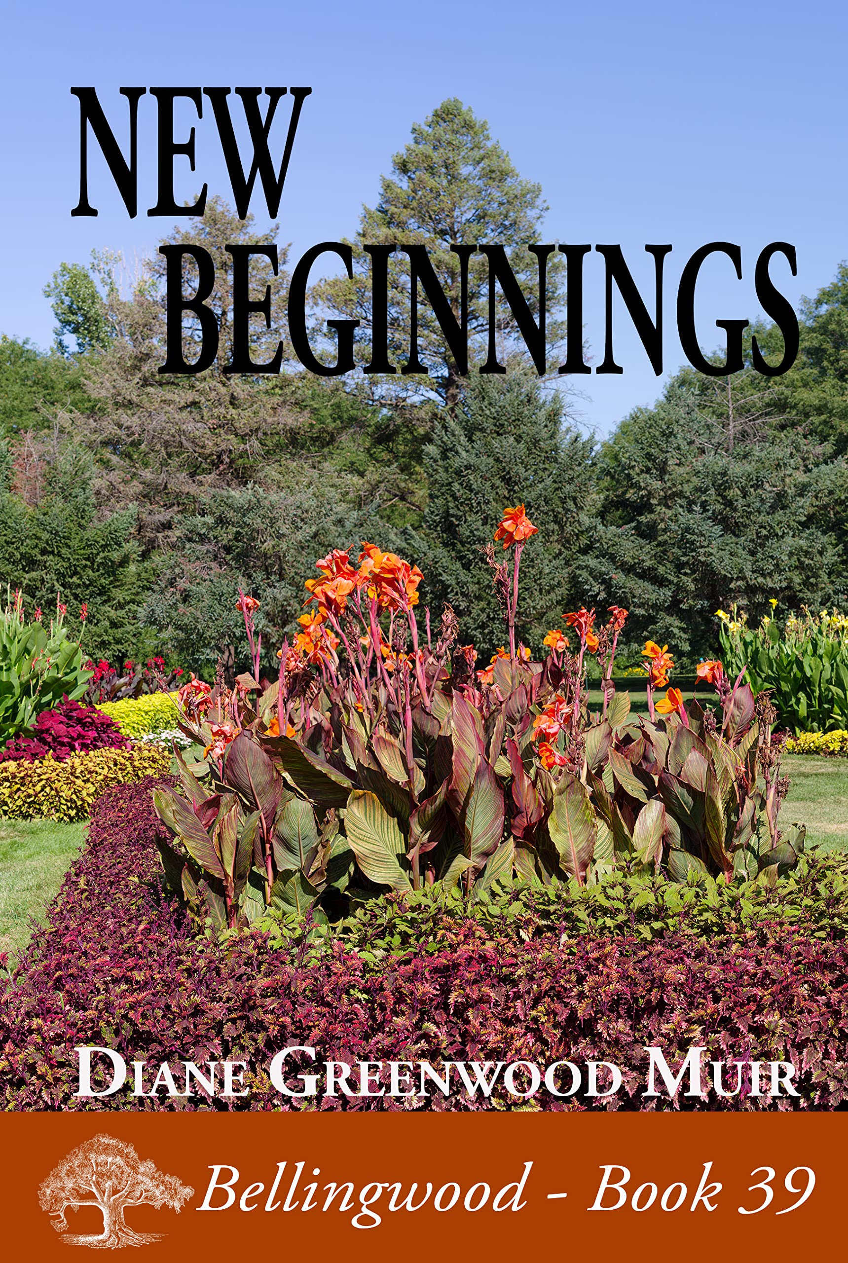 New Beginnings (Bellingwood, #39)