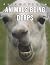 The Picture Book Of Animals...