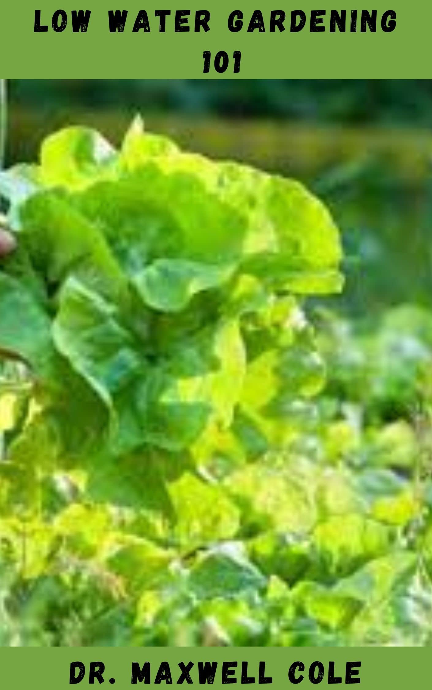 LOW WATER GARDENING 101: Essential Guide To Growing Edible Gardens In Drought Prone Areas Utilizing Minimal Water For Maximum Results (Kindle Edition)
