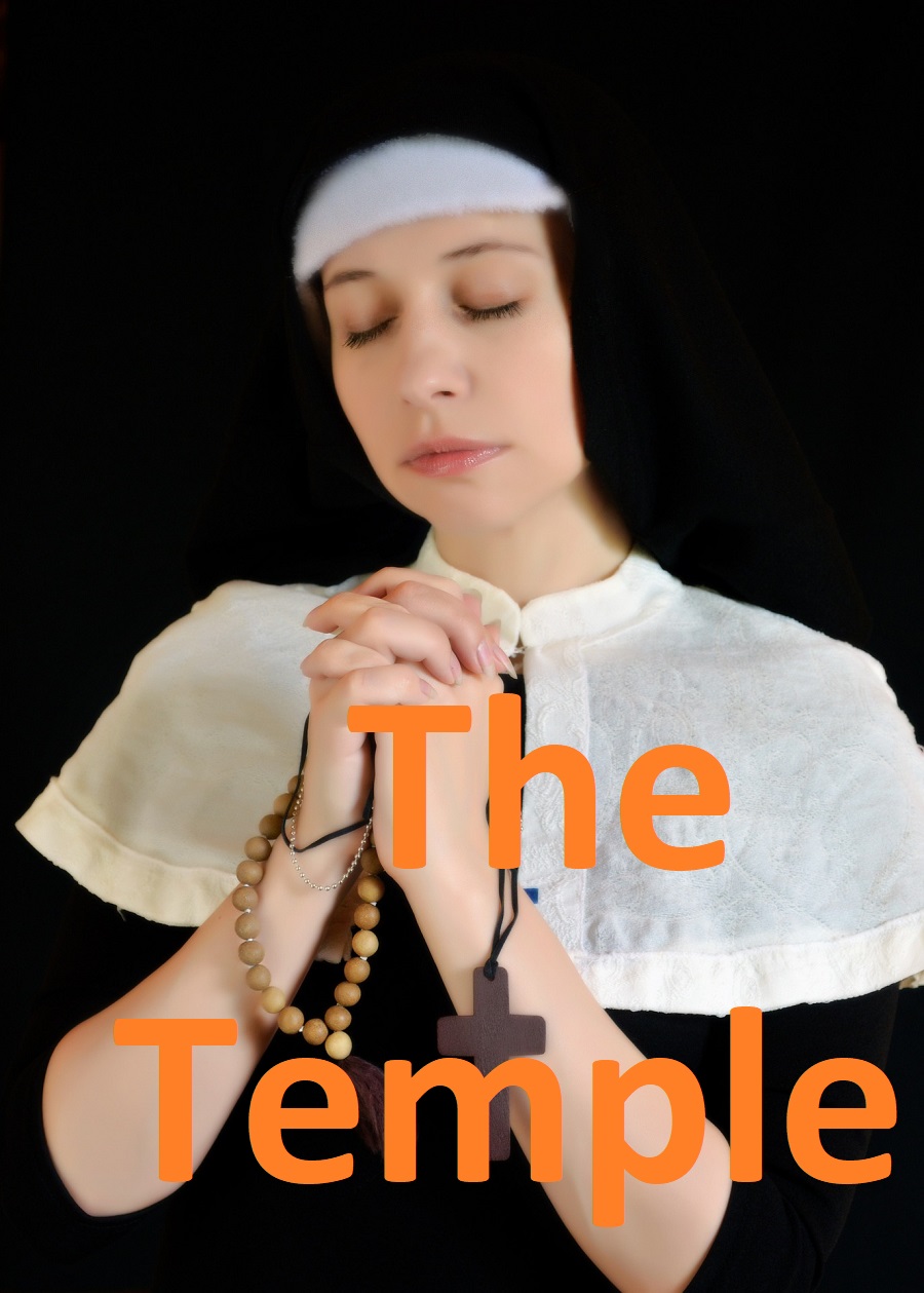 The Temple (Kindle Edition)