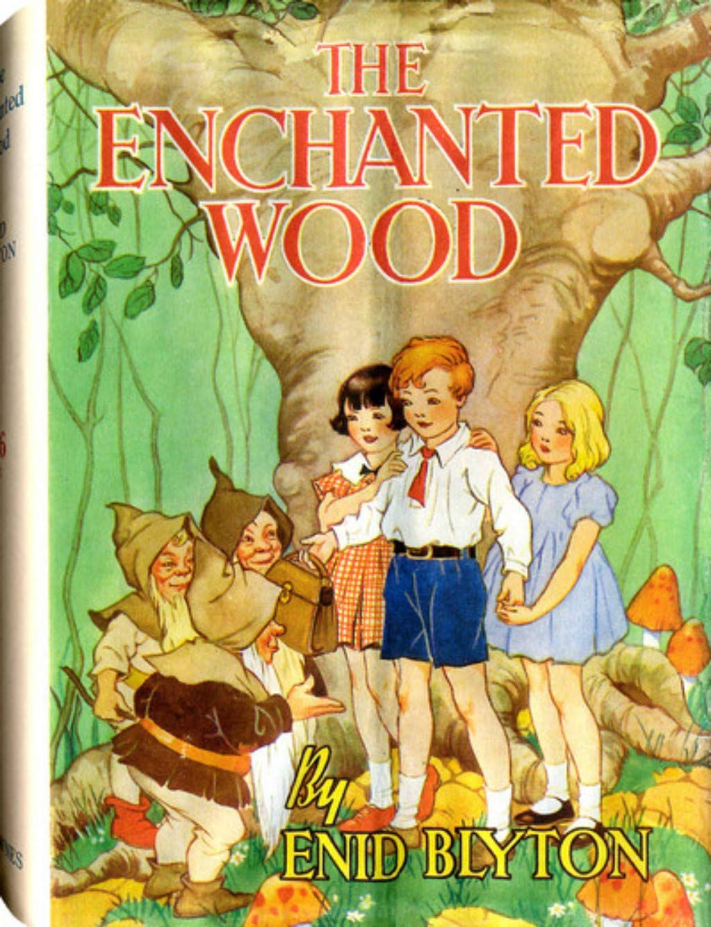 The Enchanted Wood: Faraway Tree #1