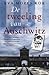De tweeling van Auschwitz by Eva Mozes Kor