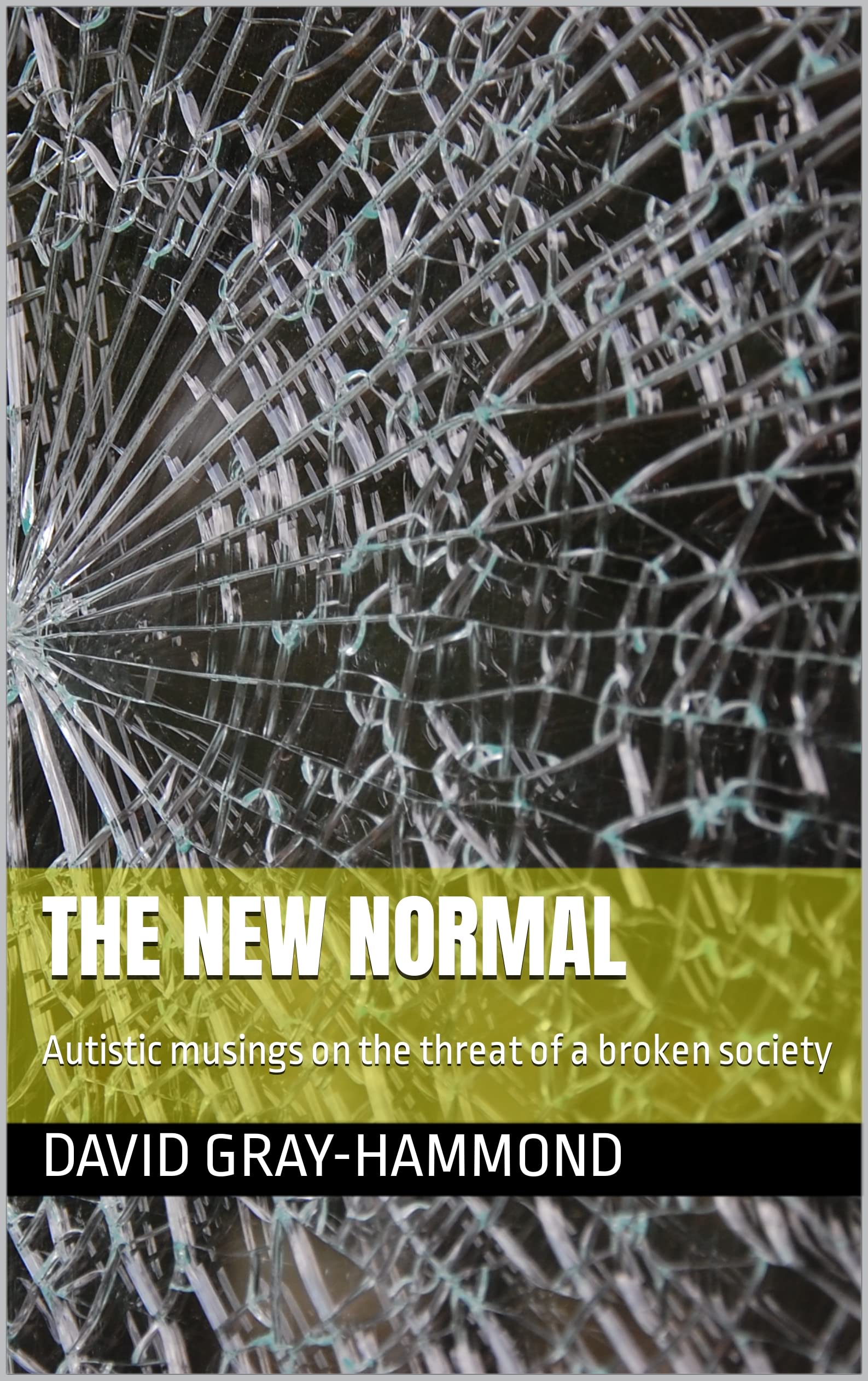 The New Normal: Autistic musings on the threat of a broken society (Kindle Edition)