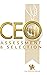 CEO Assessment and Selection