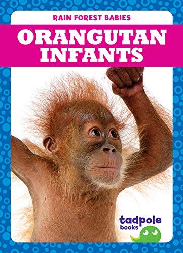 Orangutan Infants (Tadpole Books: Rain Forest Babies)