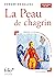 La Peau de chagrin - BAC 2026