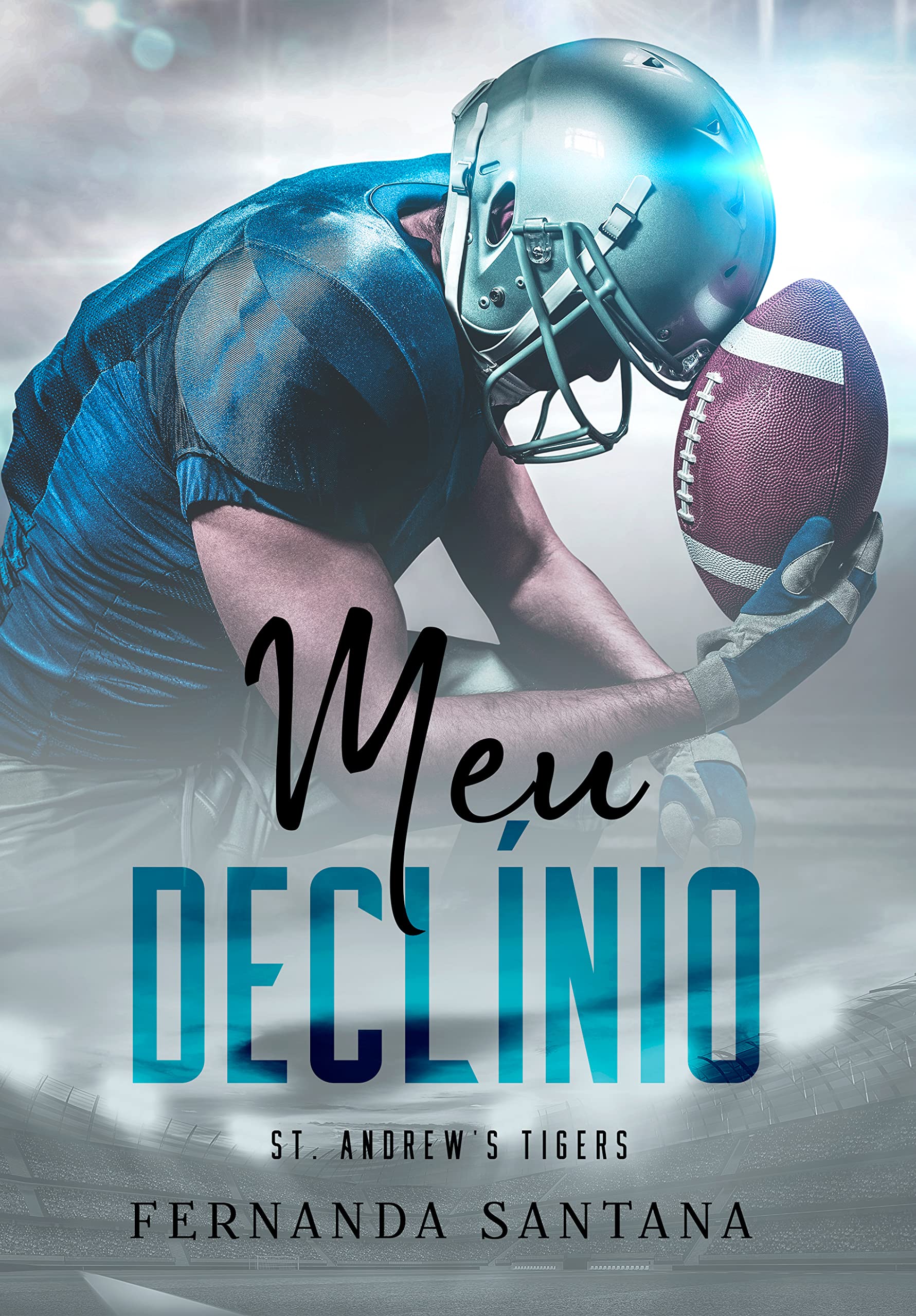 Meu declínio (Portuguese Edition)