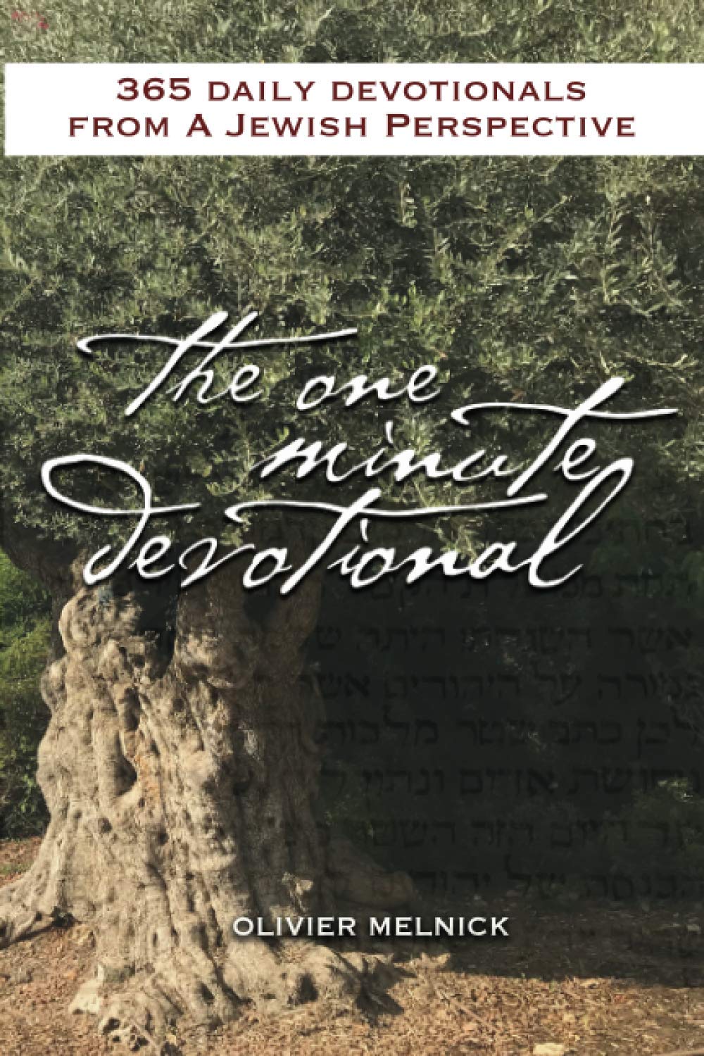 The 1 Minute Devotional: 365 Daily Devotionals from a Jewish Perspective (Paperback)