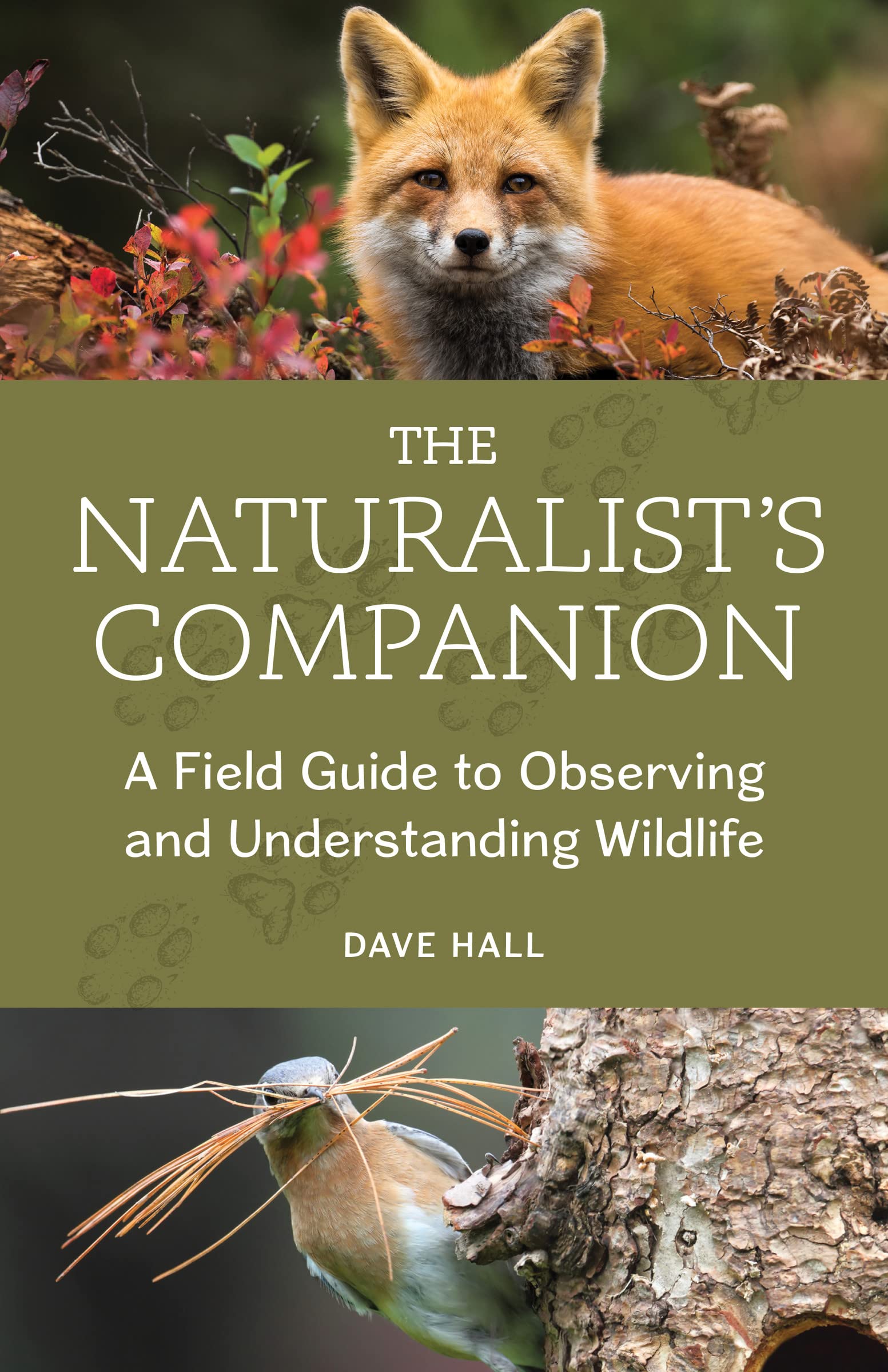 The Naturalist's Companion: A Field Guide to Observing and Understanding Wildlife (Paperback)