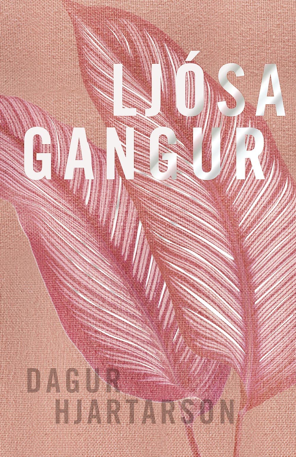 Ljósagangur (Kindle Edition)