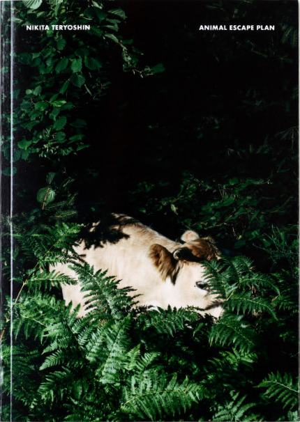 Animal Escape Plan