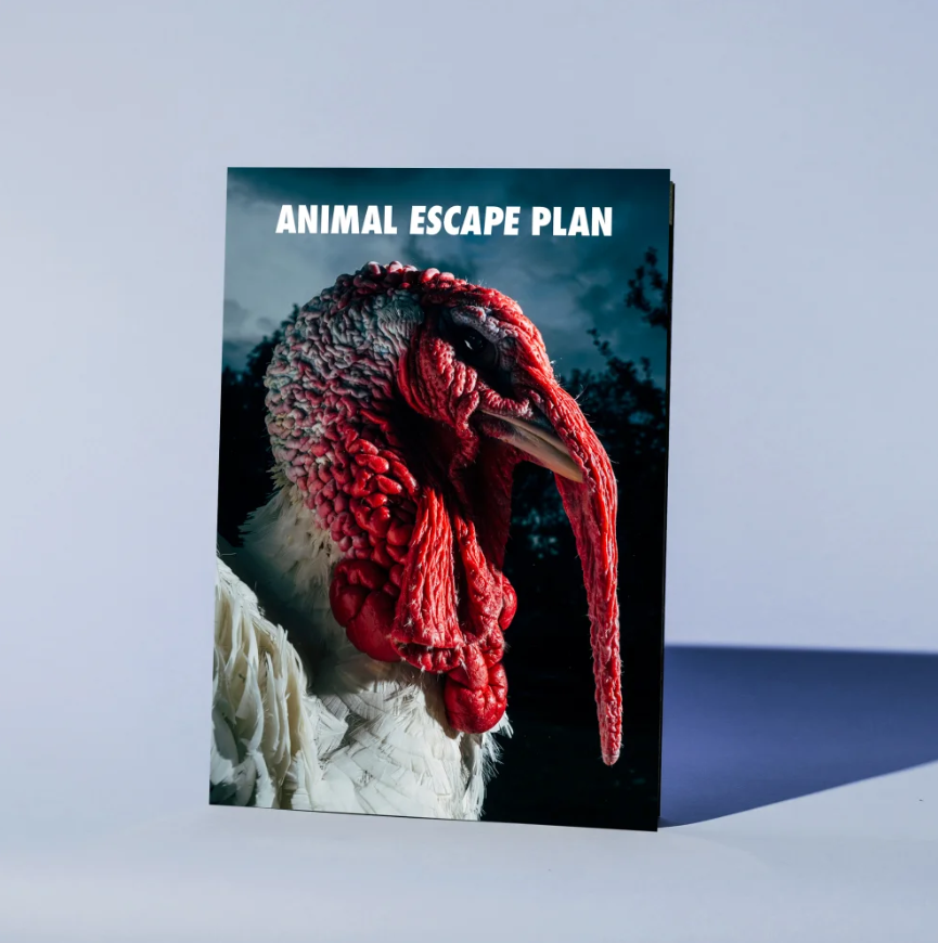Animal Escape Plan - Special Wolfang Edition