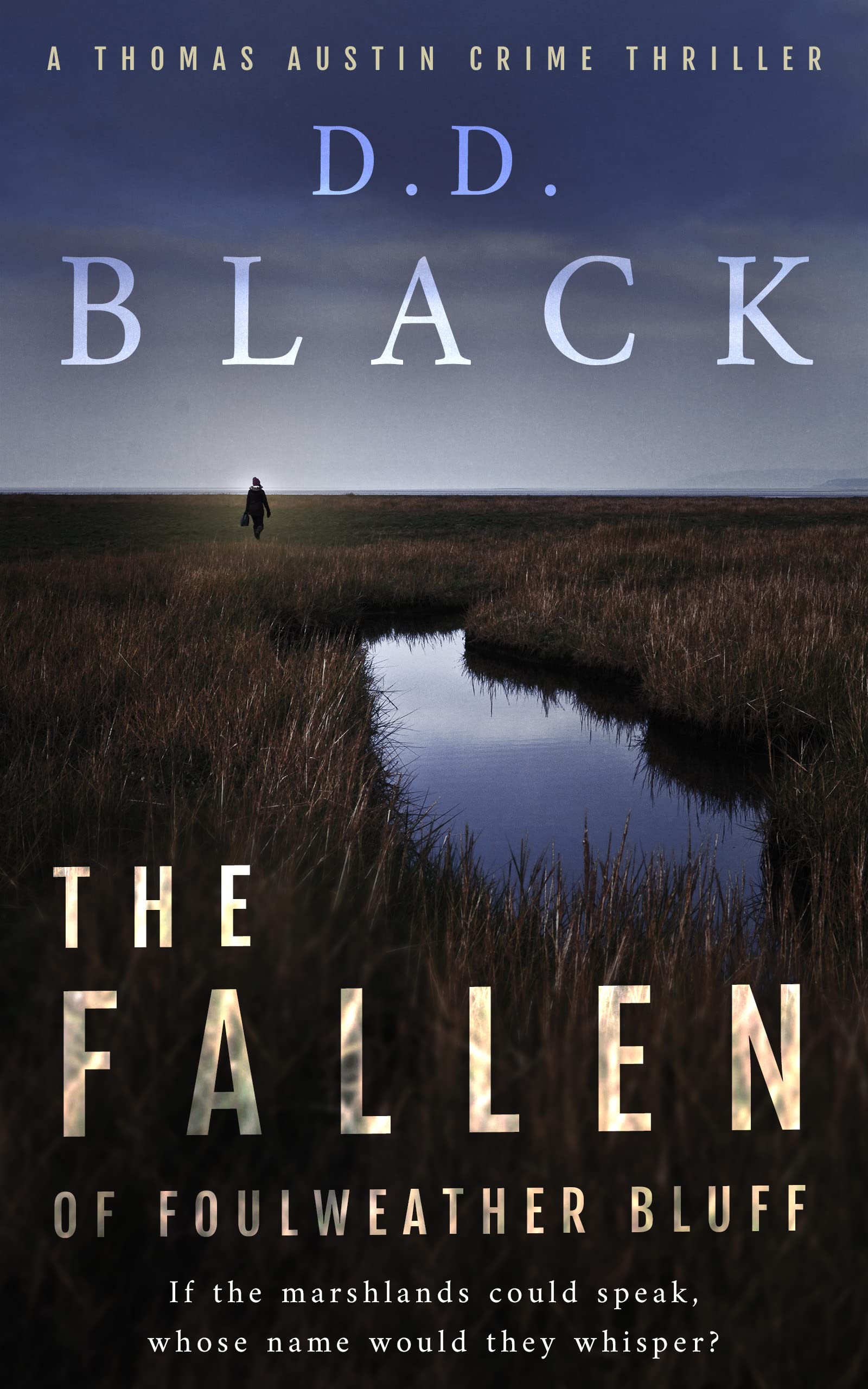 The Fallen of Foulweather Bluff (A Thomas Austin Crime Thriller #3)