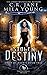 Stolen Destiny (Thief of Hearts)