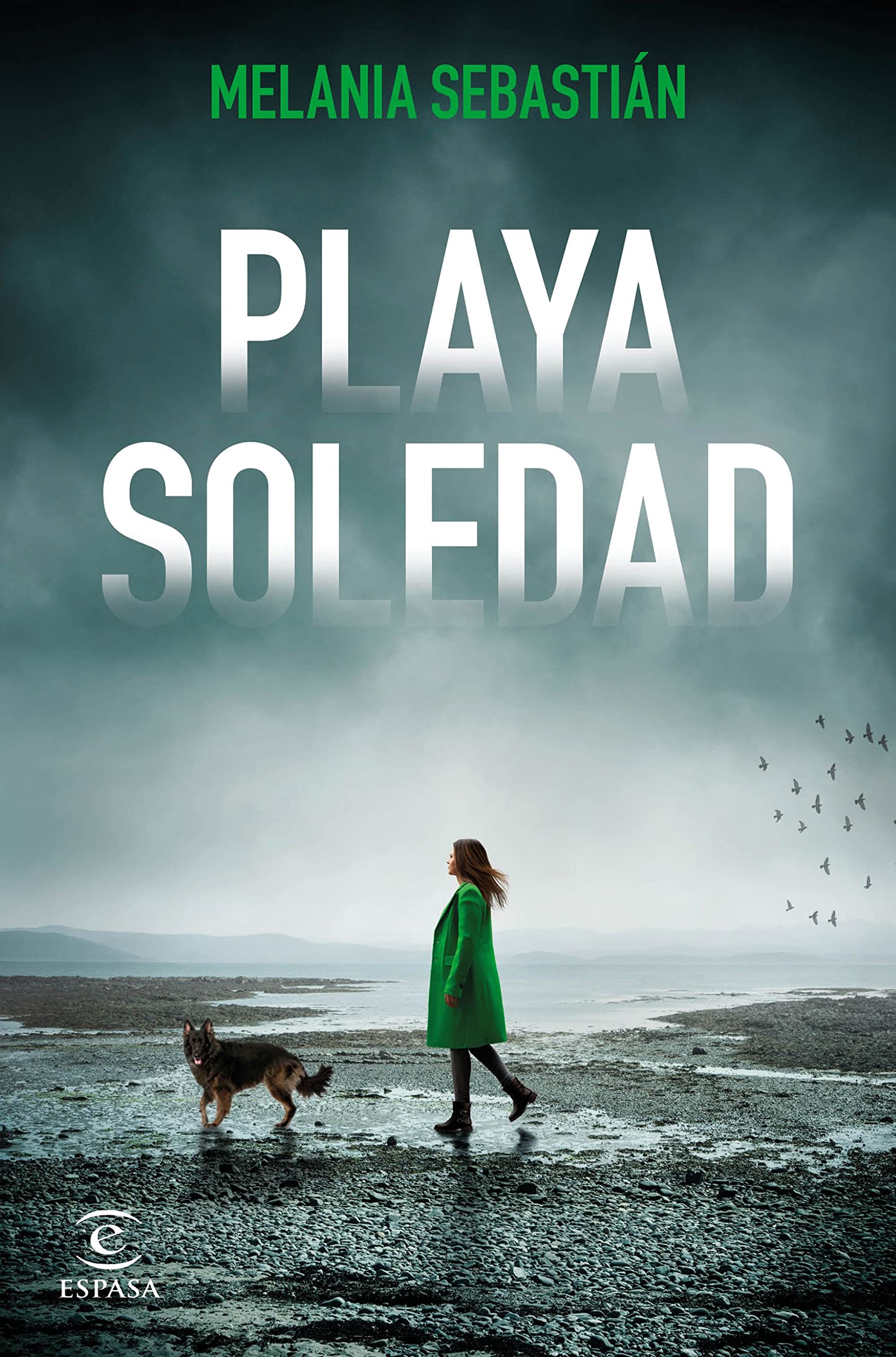 Playa Soledad (Paperback)