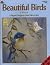 Beautiful Birds by Willow
