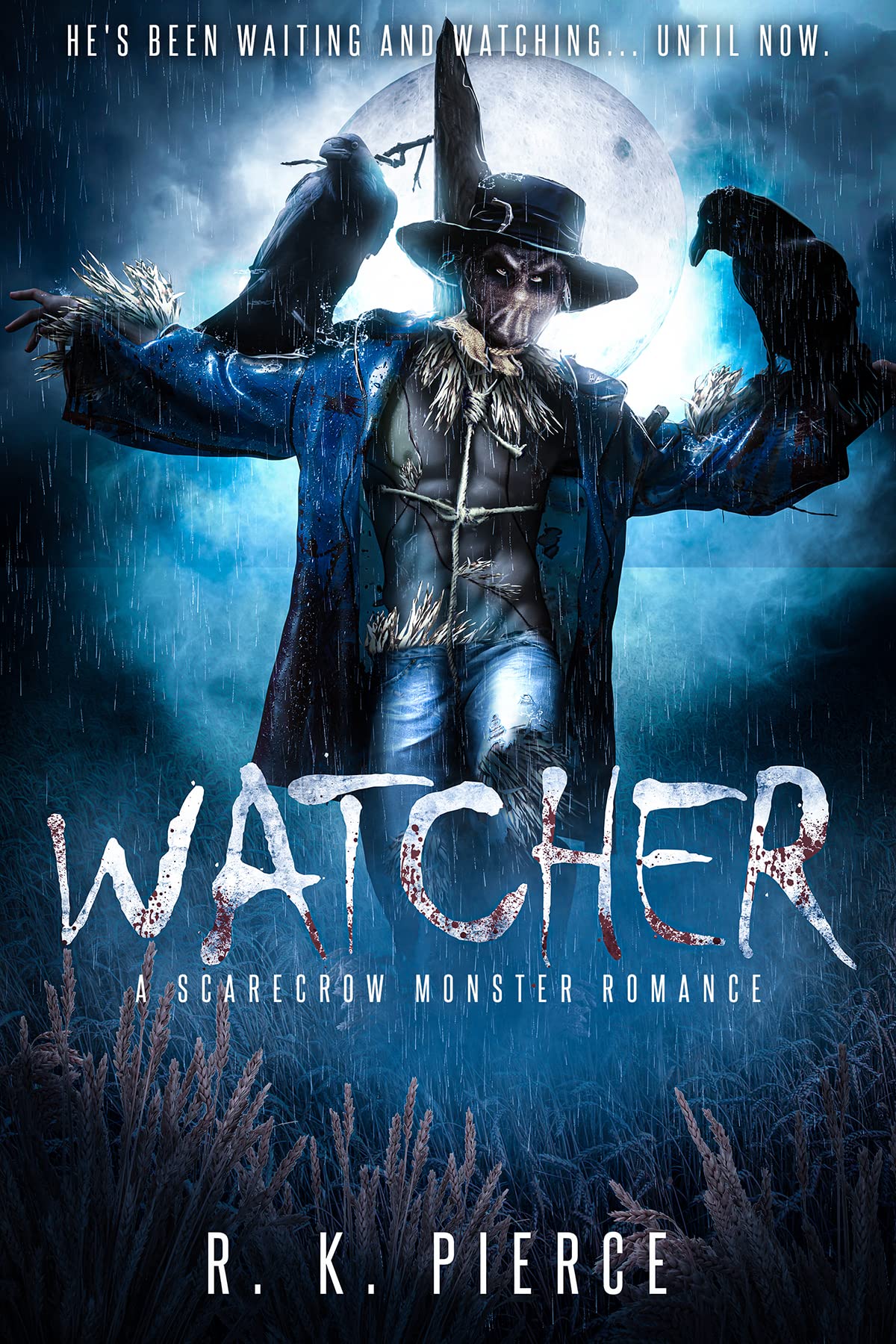 Watcher (Kindle Edition)