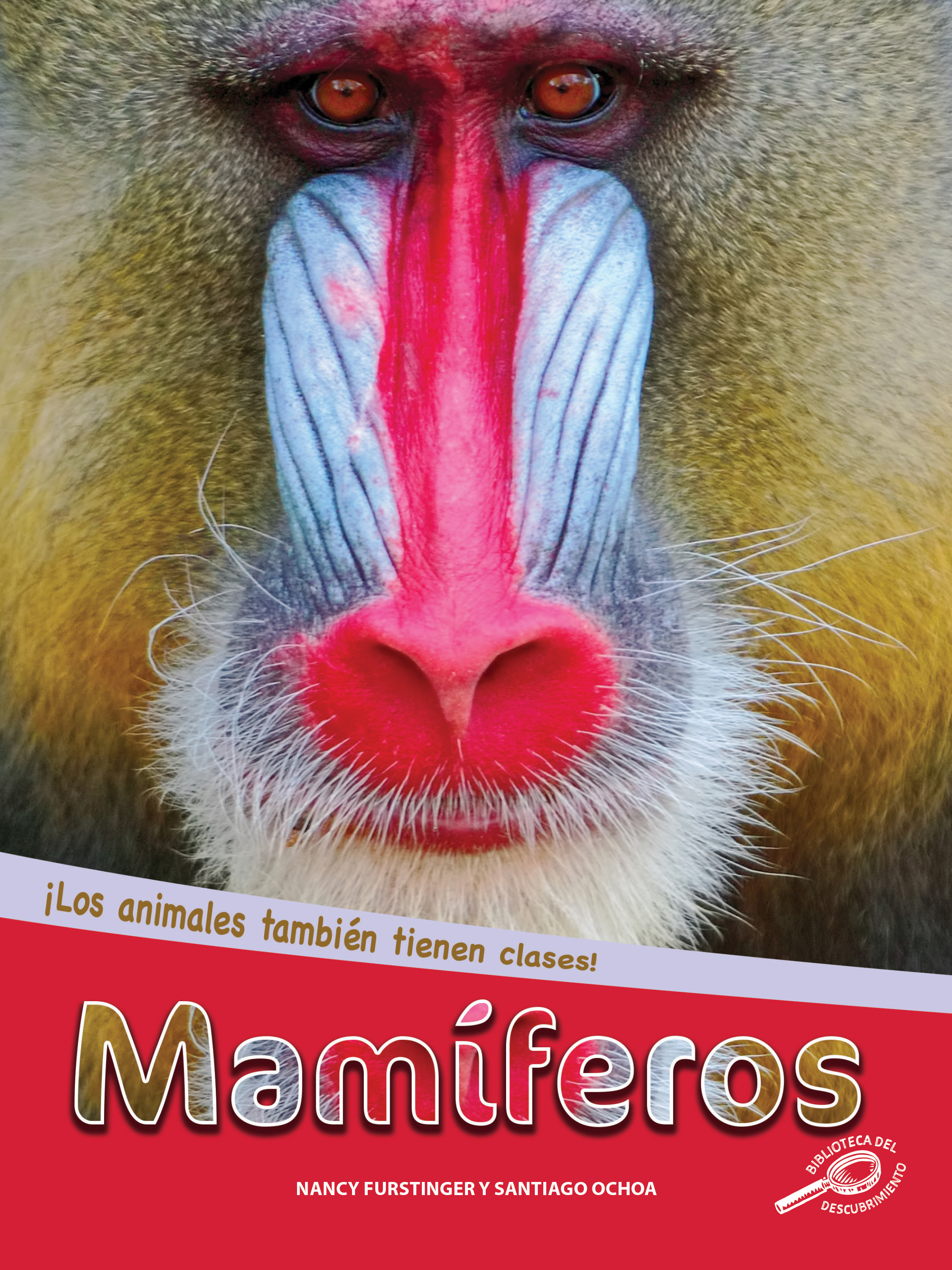 Rourke Educational Media Mamíferos (Mammals), Guided Reading Level P Reader (Los animales también tienen clases) (Spanish Edition)