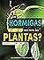 ¿Las hormigas son como las ...