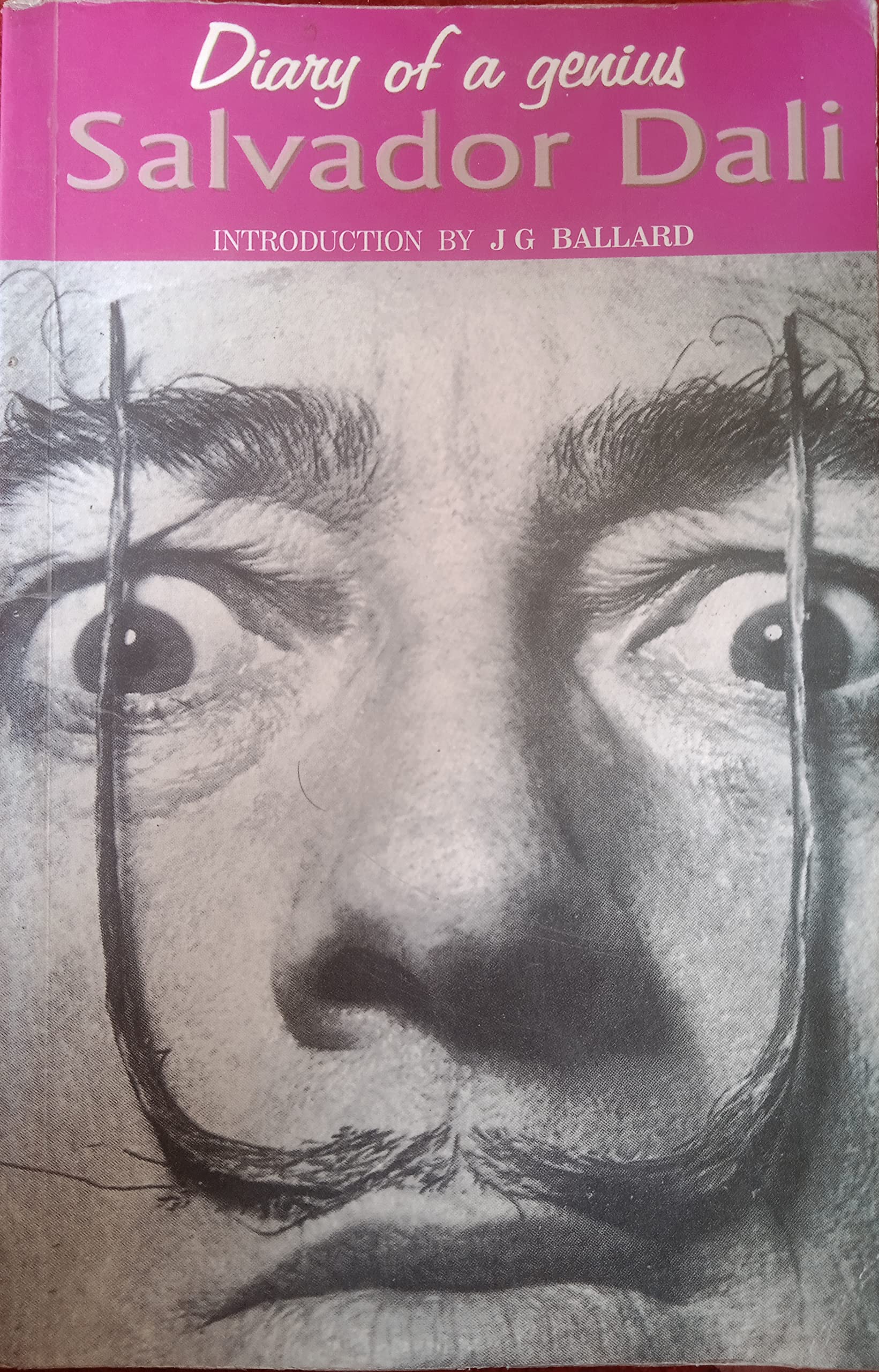 Diary of a Genius
