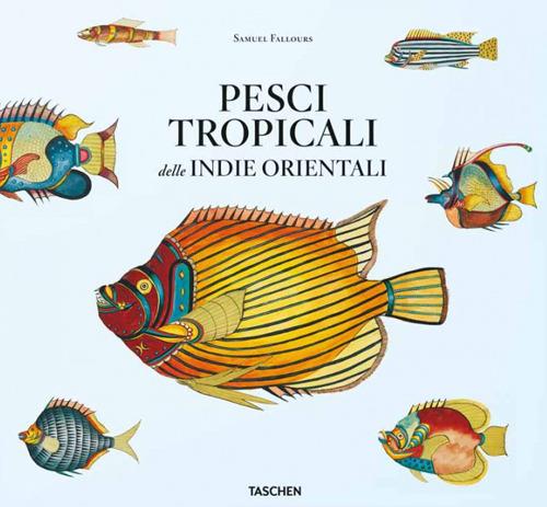 Pesci tropicali delle Indie orientali