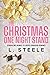 The Christmas One Night Stand