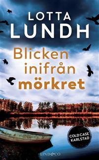 Blicken inifrån mörkret (Paperback)