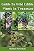 Guide To Wild Edible Plants...