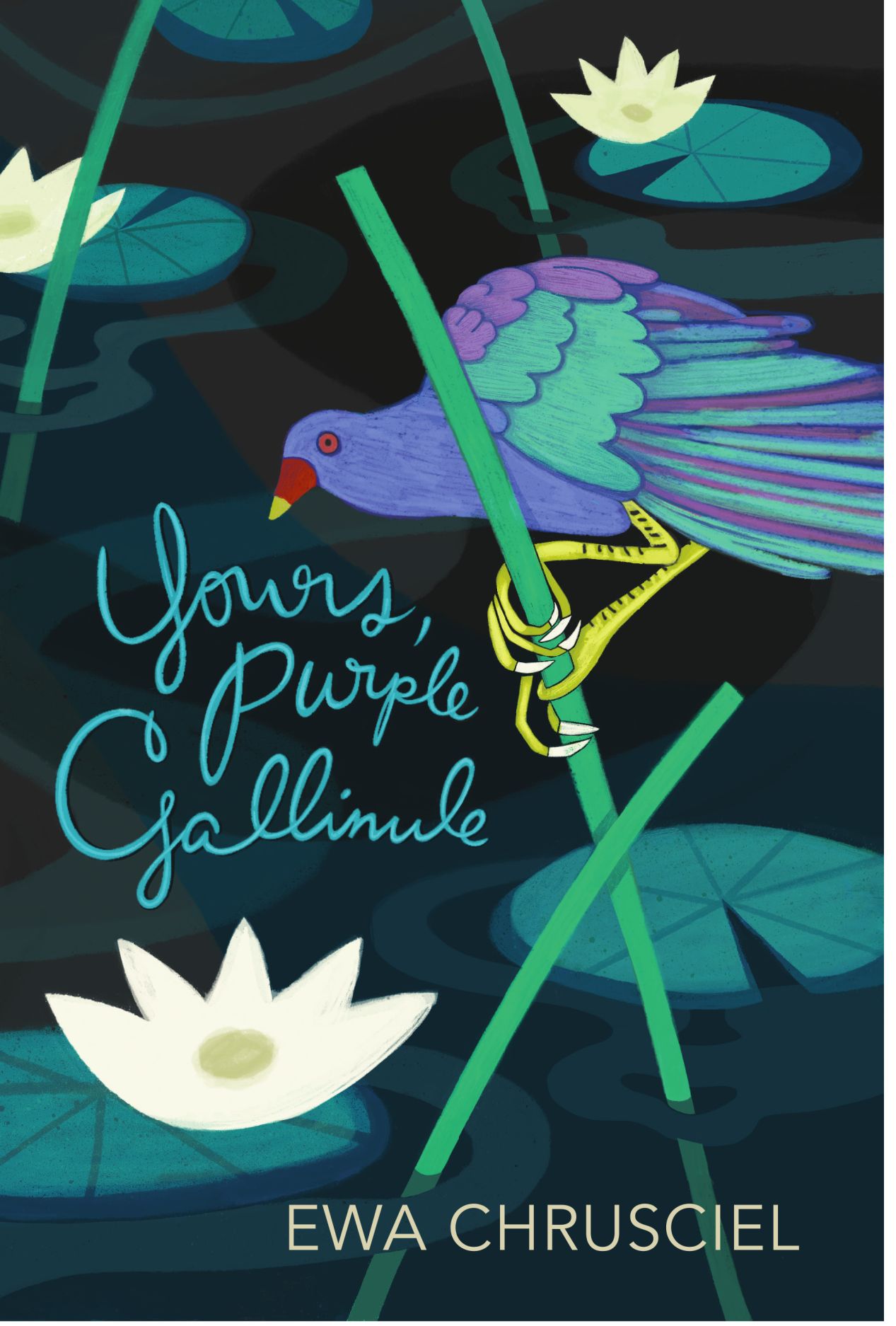 Yours, Purple Gallinule (Paperback)