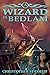 A Wizard in Bedlam (Chronicles of the Rogue Wizard)