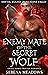 Enemy Mate of the Secret Wolf by Serena Meadows