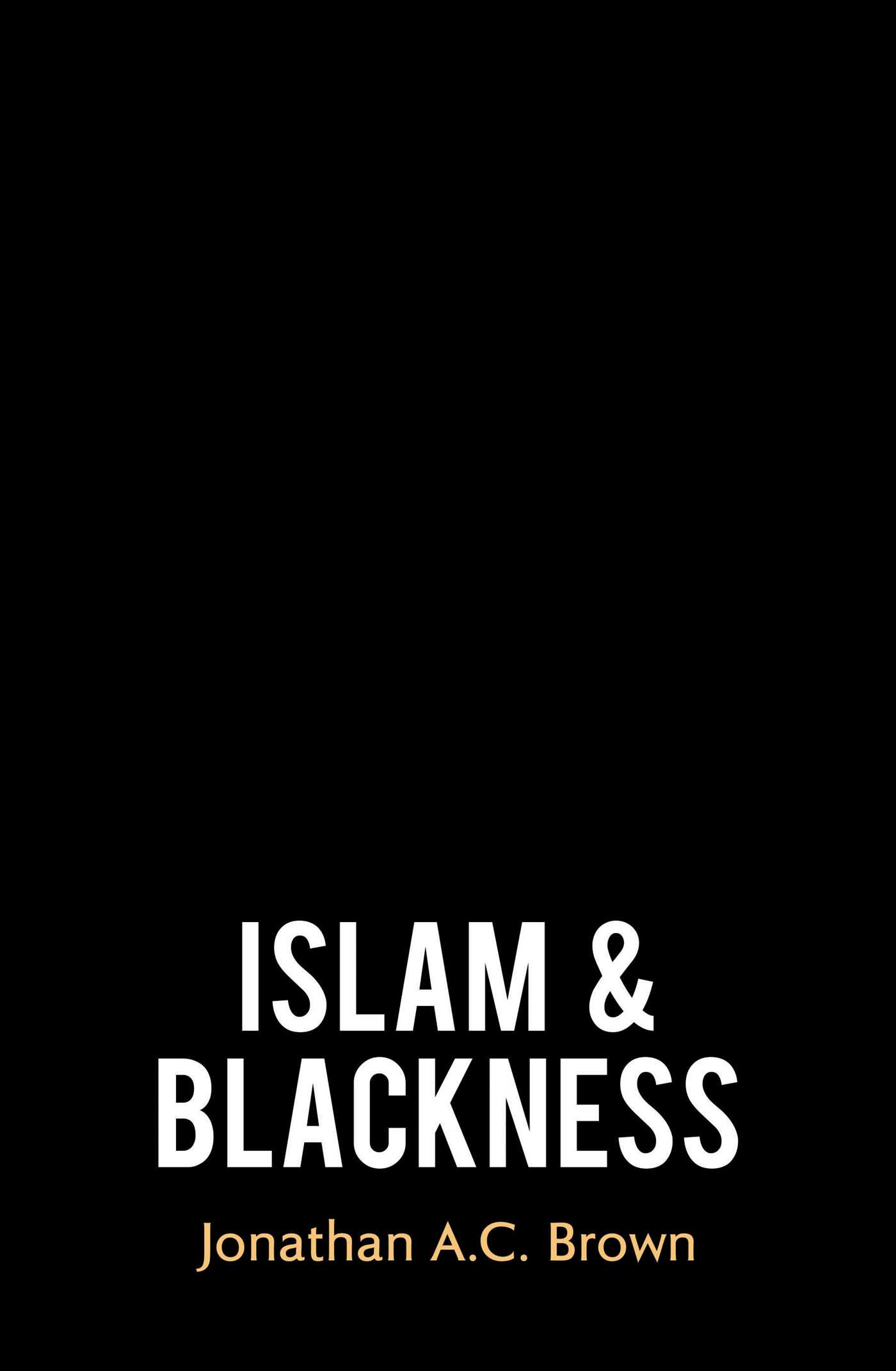 Islam and Blackness (Hardcover)