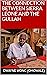 The Connection Between Sierra Leone and the Gullah by Dwayne Wong