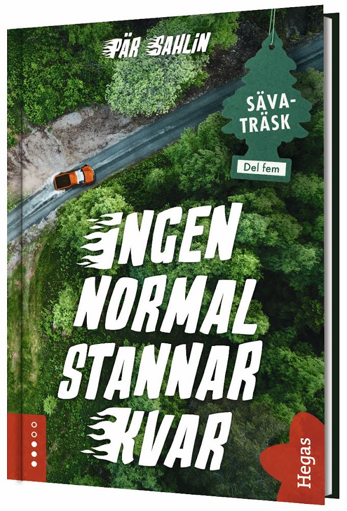 Ingen normal stannar kvar (Hardcover)