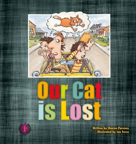 Our Cat Is Lost (Paperback)