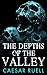 The Depths of the Valley: A...