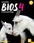 Bios 4: Solu ja perinnöllisyys