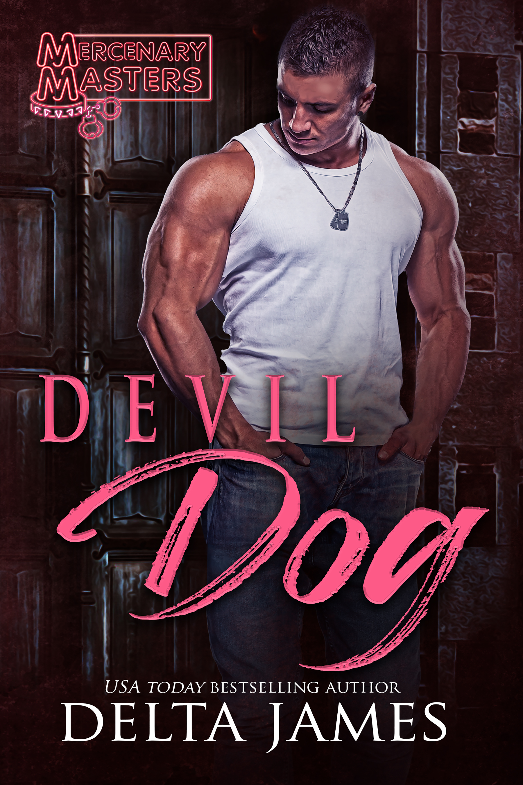 Devil Dog (Mercenary Masters #1)