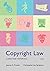 Copyright Law by Jeanne C. Fromer